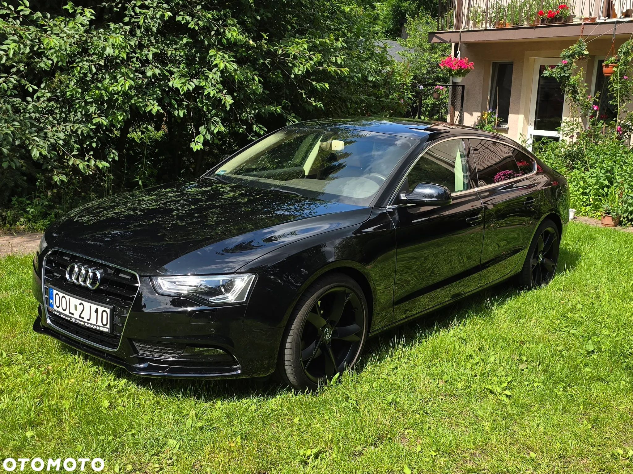 Audi - 6