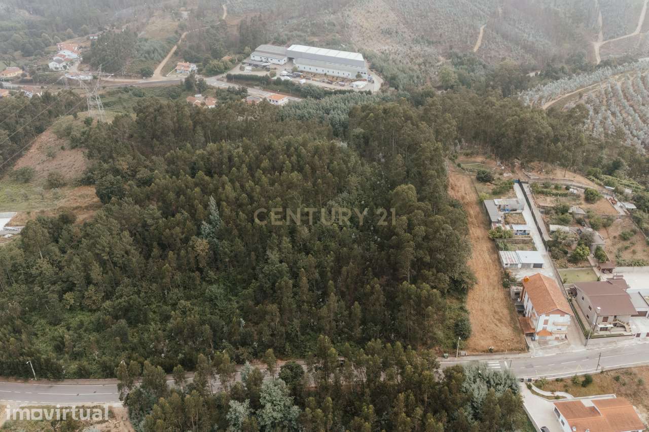 Terreno Misto Residencial e Florestal - Medas, Gondomar - Grande imagem: 3/6