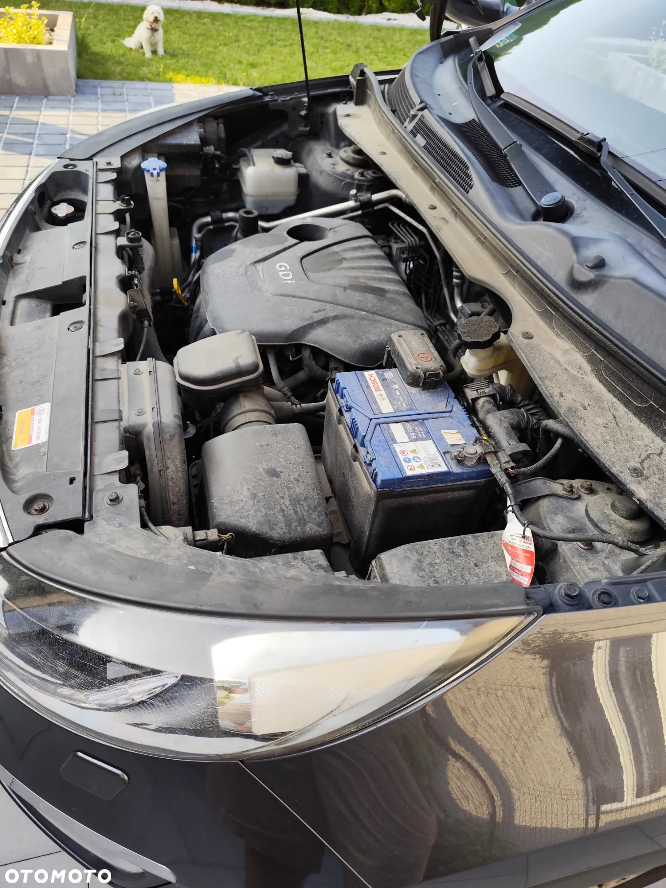 Kia Sportage 1.6 GDI M 2WD - 15