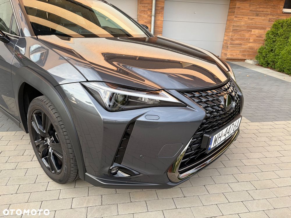Lexus UX - 20