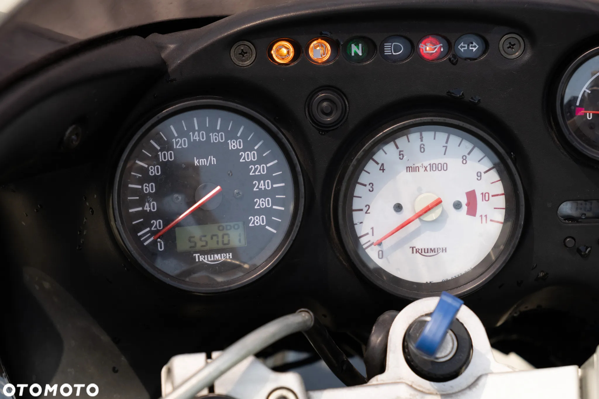 Triumph Sprint - 6
