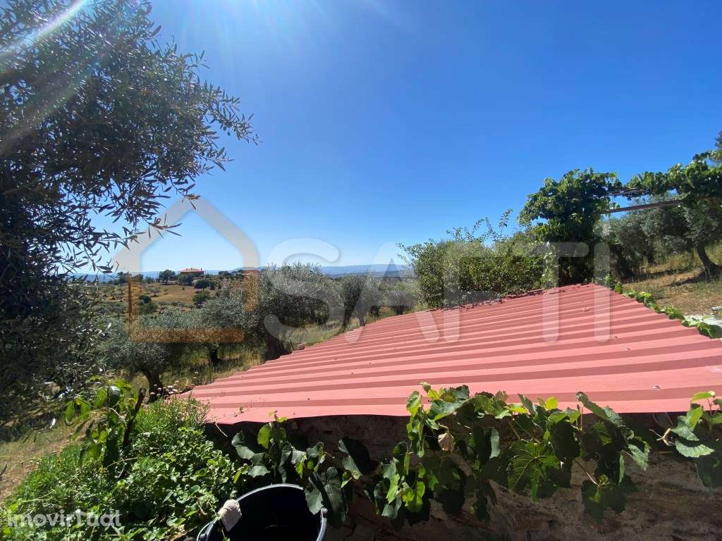 Quinta com oliveiras Moradia T2+1 - Grande imagem: 2/30