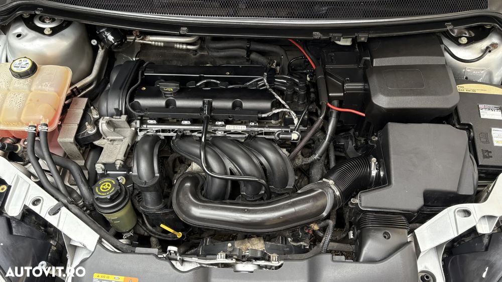 Ford Focus 1.6i Trend - 23