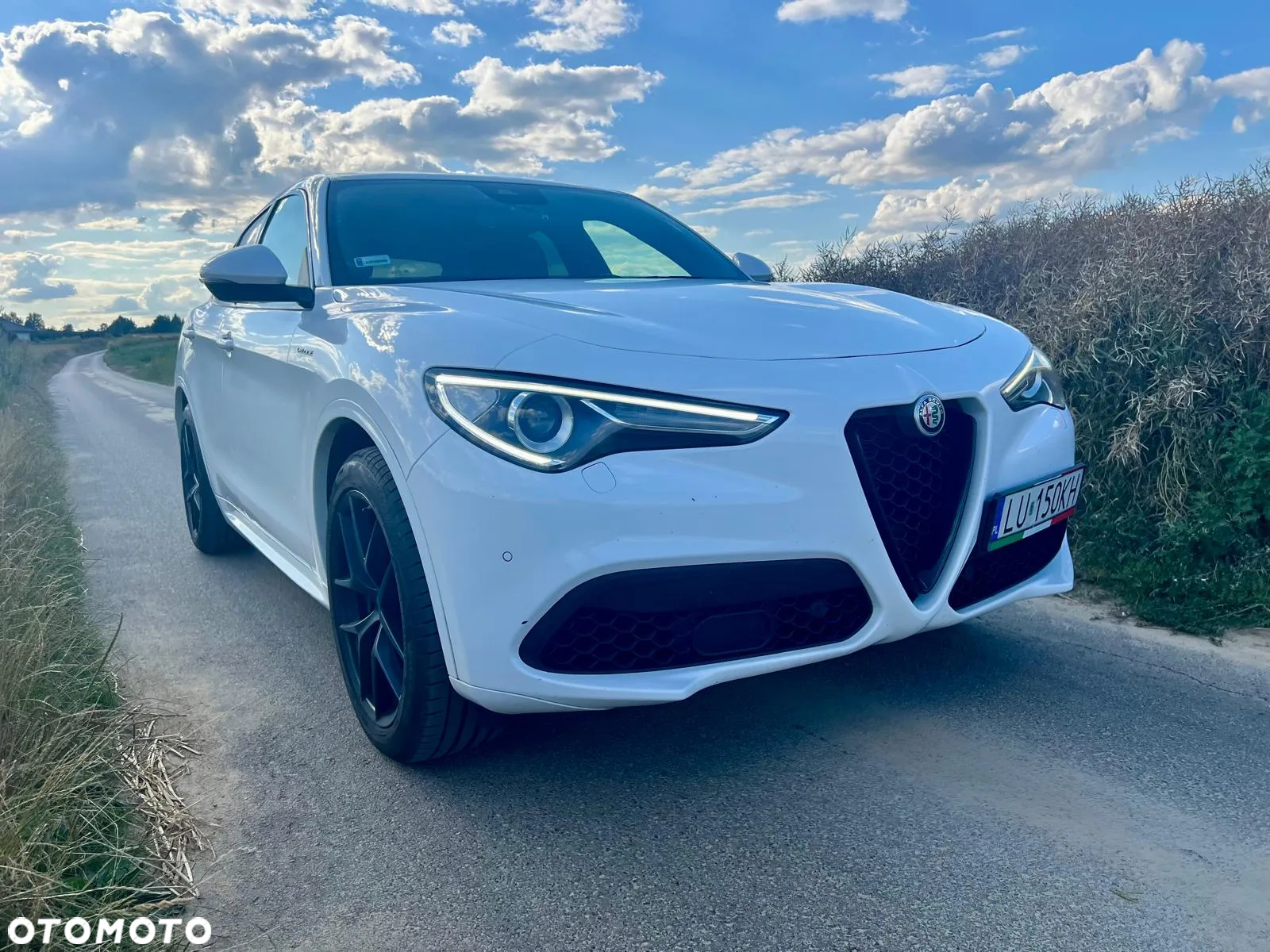 Alfa Romeo Stelvio 2.0 Turbo Veloce Q4 - 7