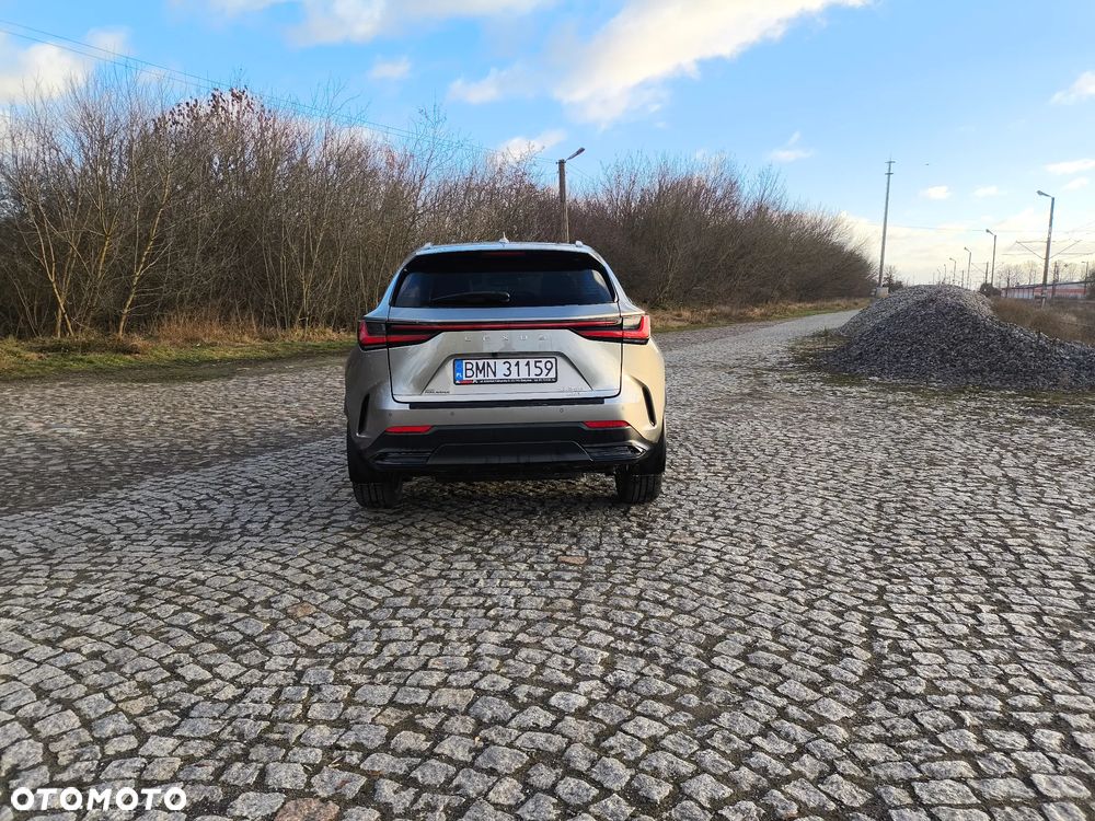 Lexus NX - 13