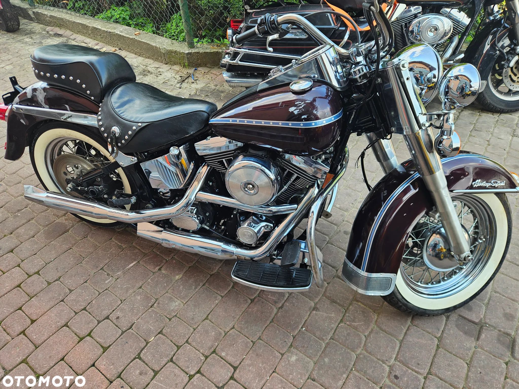 Harley-Davidson Softail Custom - 1