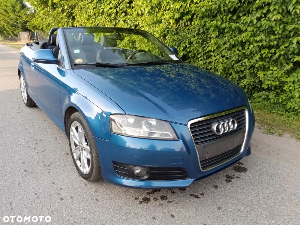 Audi A3 Cabrio 1.9 TDI DPF Ambition - 10