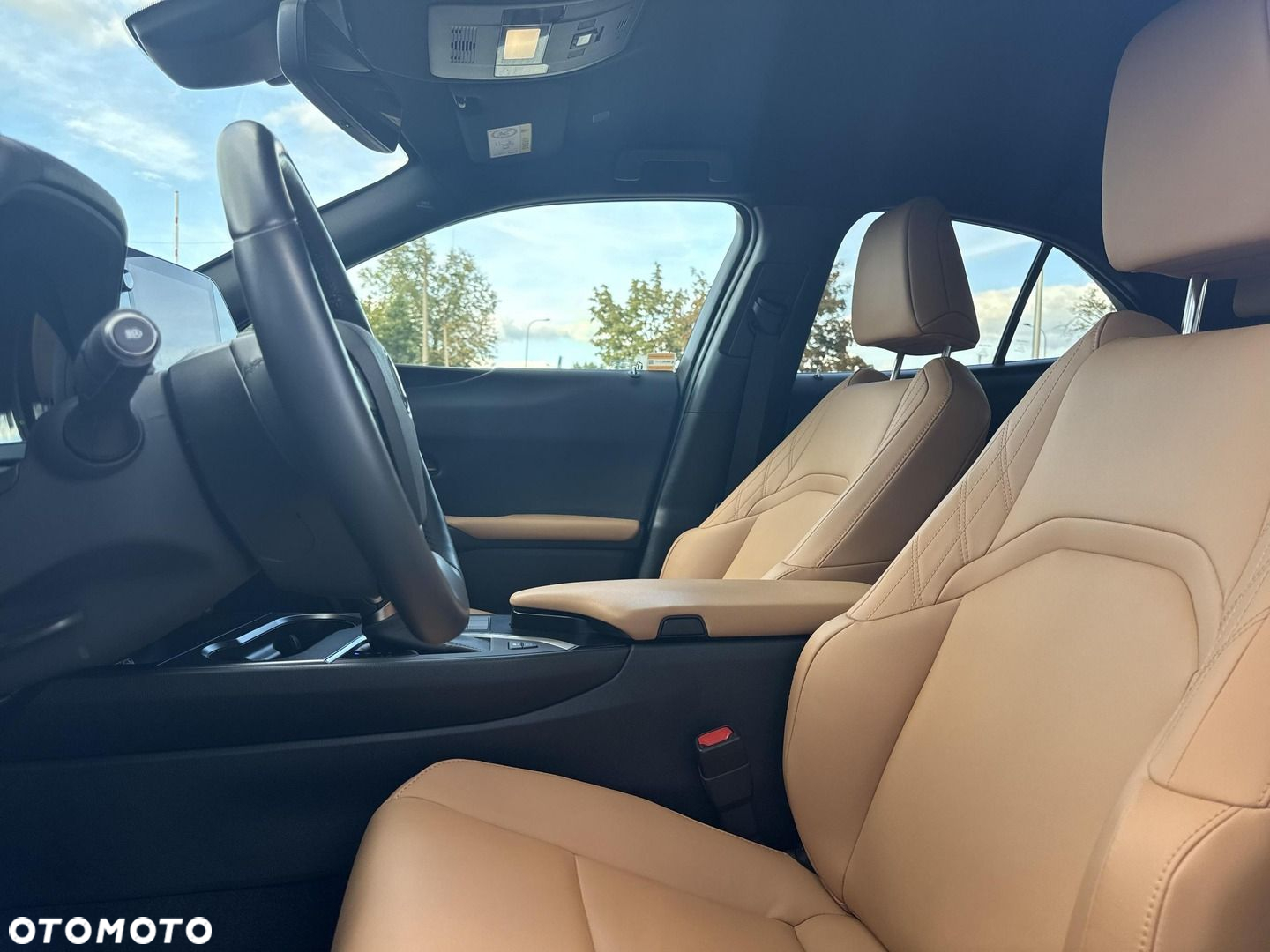 Lexus UX 250h GPF F Sport Design 2WD - 11