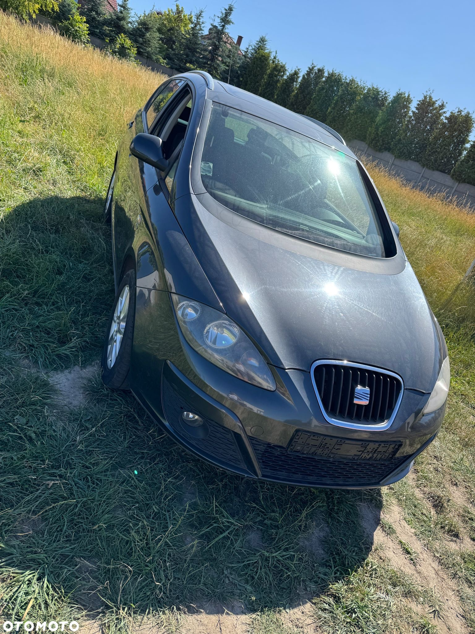 Seat Altea - 7