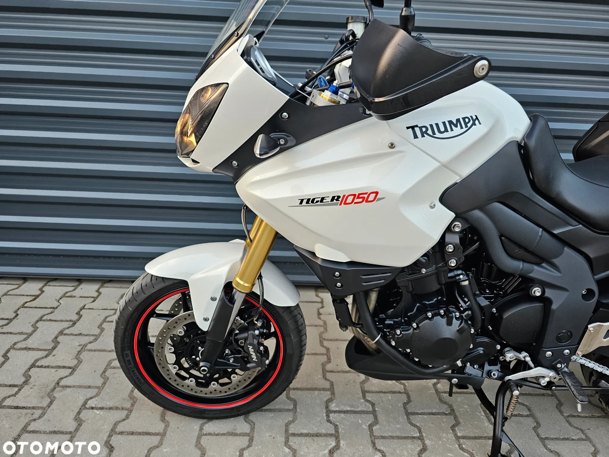 Triumph Tiger - 10