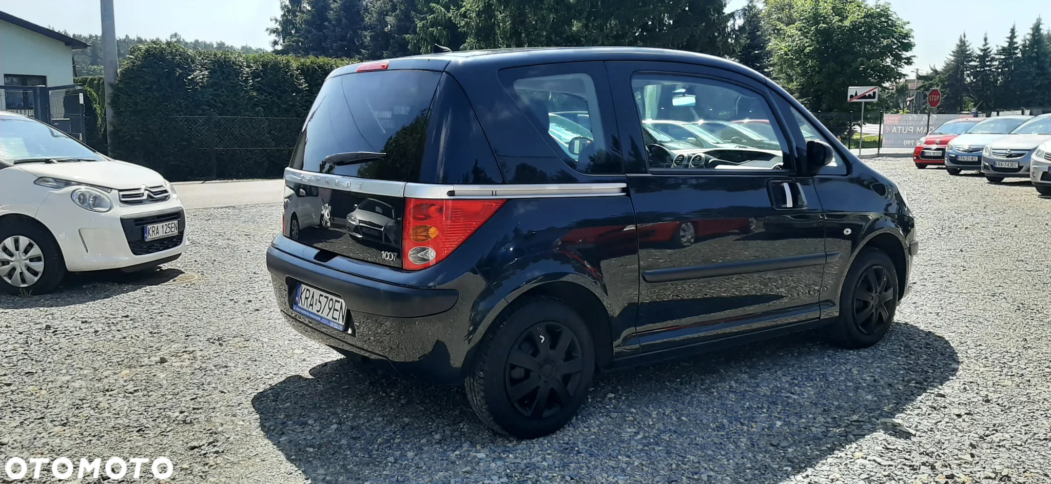 Peugeot 1007 - 13