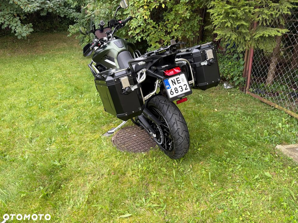 Triumph Tiger - 15