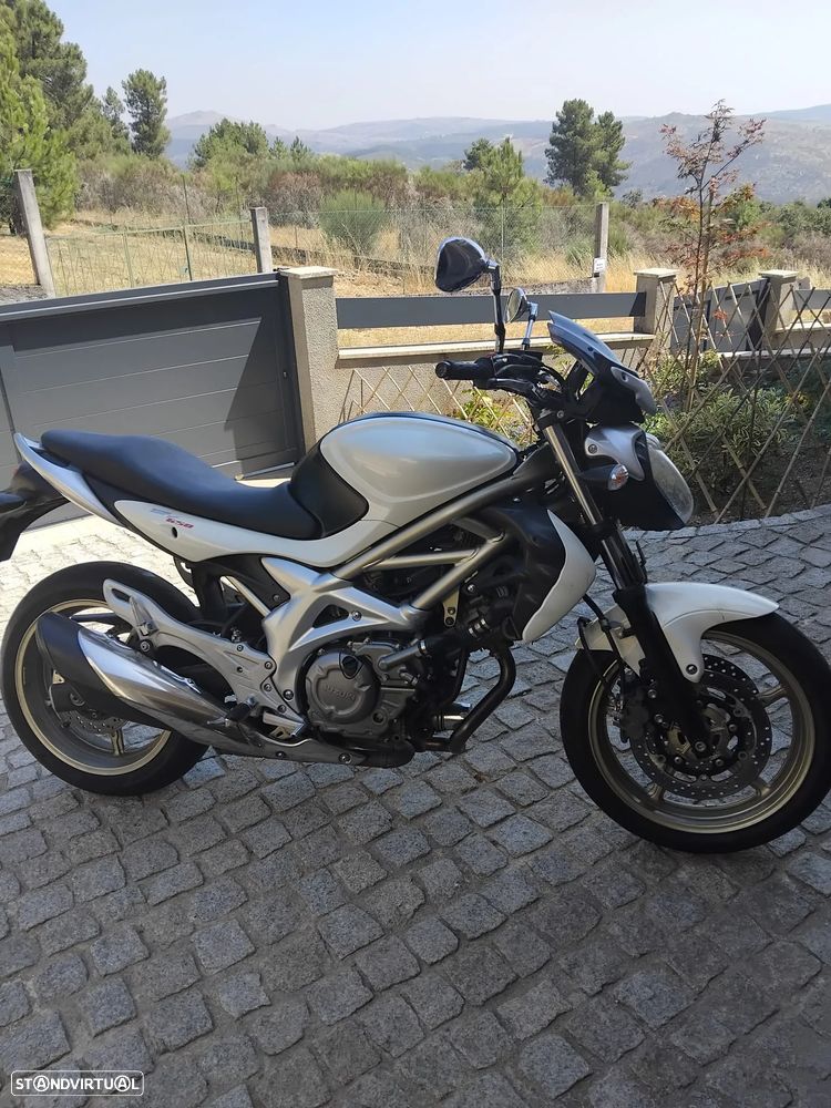 Suzuki SFV Gladius - 1
