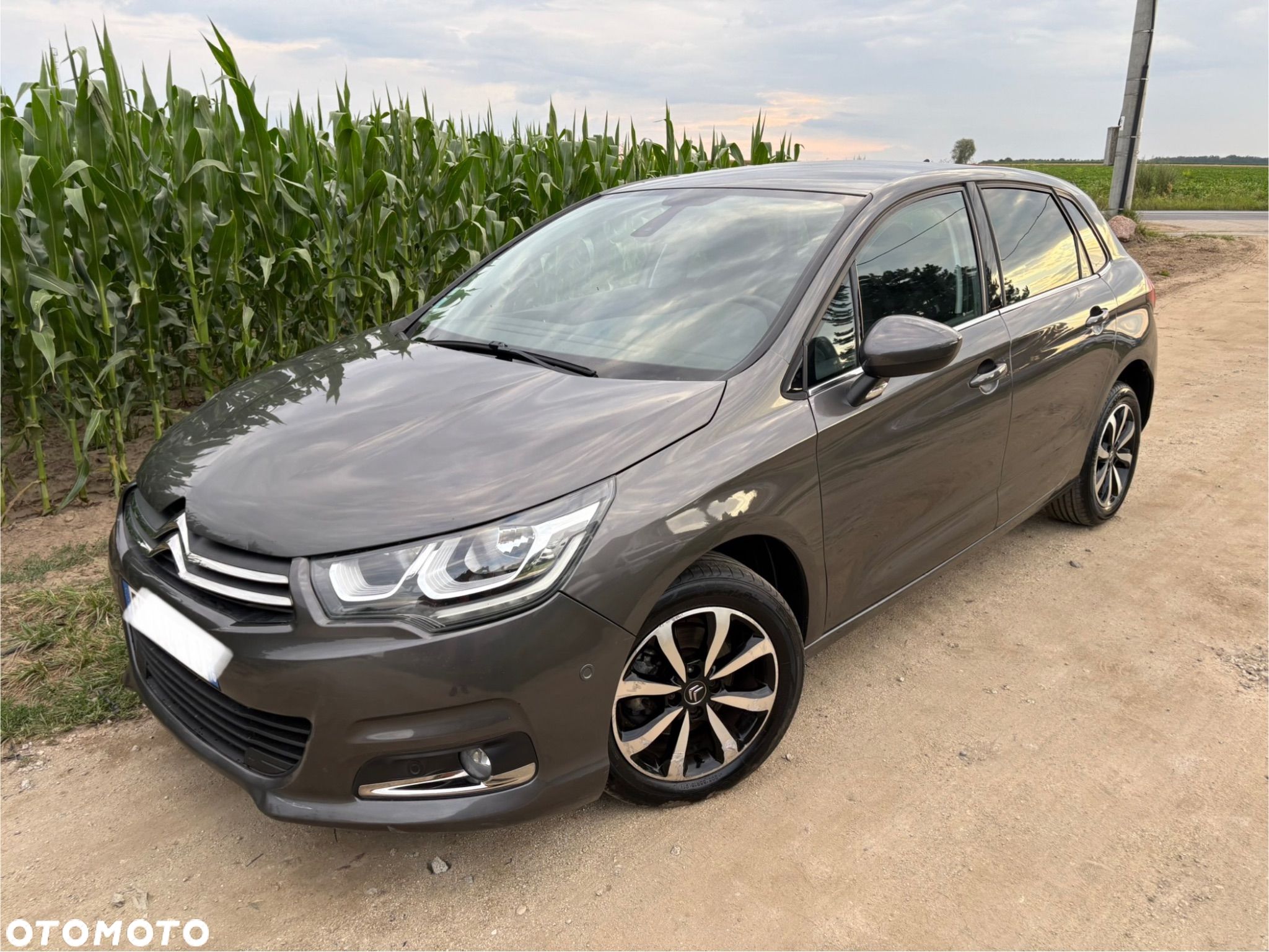 Citroën C4 BlueHDi 120 Stop&Start Shine - 1