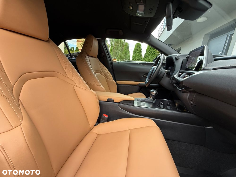 Lexus UX 250h GPF F Sport Design+ 2WD - 28