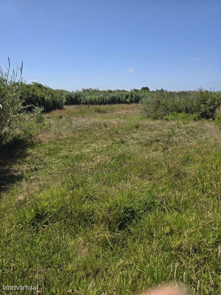 Terreno de 2.880 m² no Arneiro - Oportunidade no Coração do Oeste - Grande imagem: 4/4