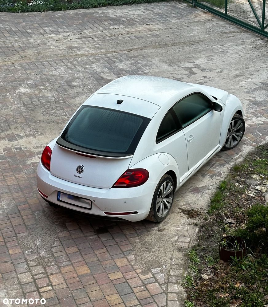 Volkswagen Beetle - 7