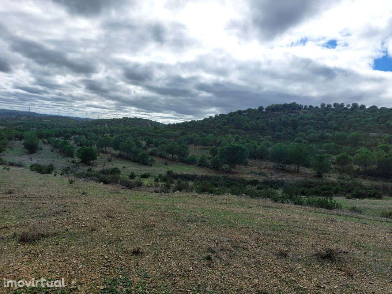 Vende-se Herdade com 209 ha no concelho de Mértola - Grande imagem: 4/10