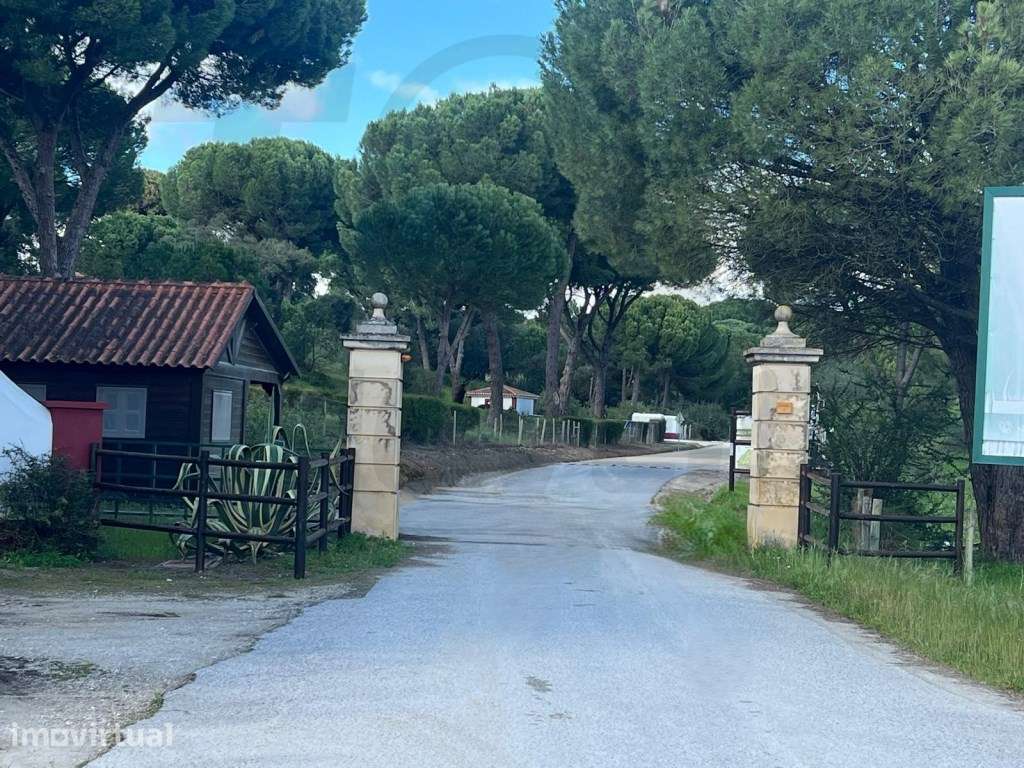 Terreno - Mata do Duque I - 300.000€ - Grande imagem: 2/20