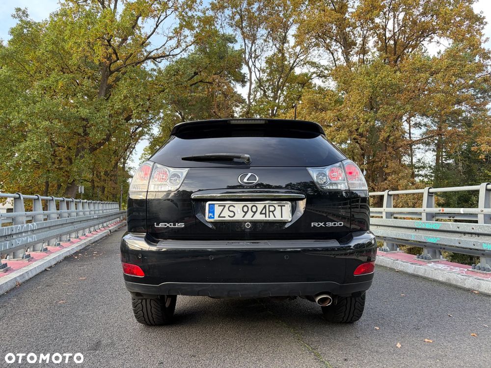 Lexus RX Comfort - 10
