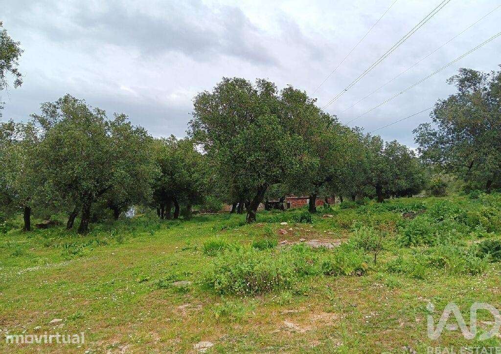 Casa / Villa em Aljubarrota de 87 m2 - Grande imagem: 4/9