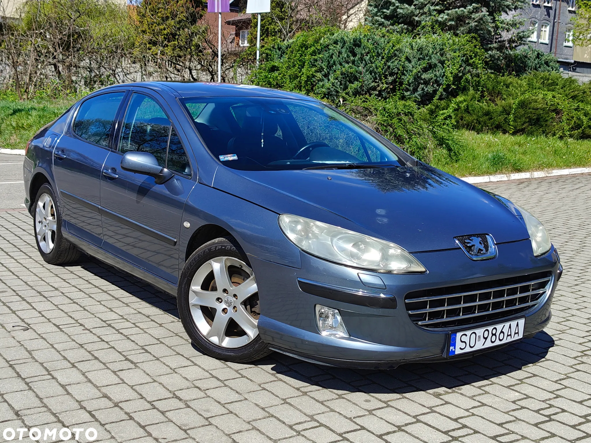 Peugeot 407 SW 160 Platinum - 5