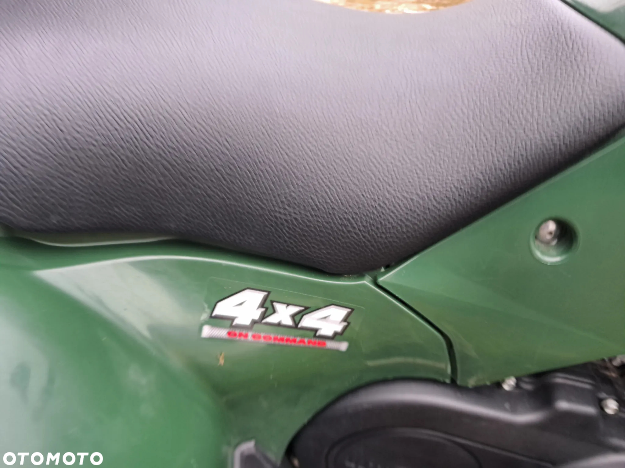 Yamaha Grizzly - 17