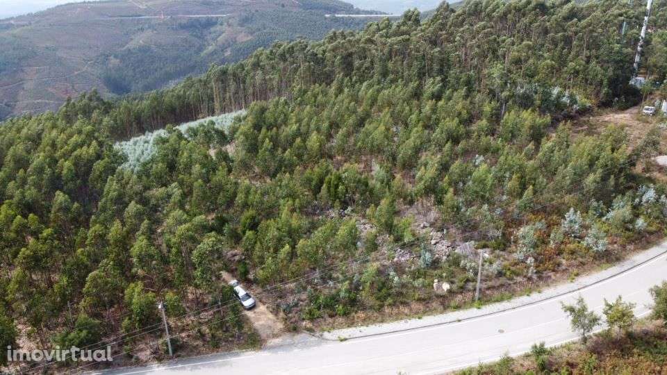 Terreno – Sever do Vouga - Grande imagem: 5/7