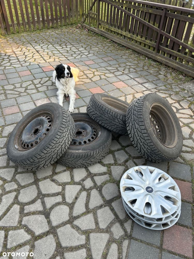 Ford Mondeo 1.5 EcoBoost Edition - 6