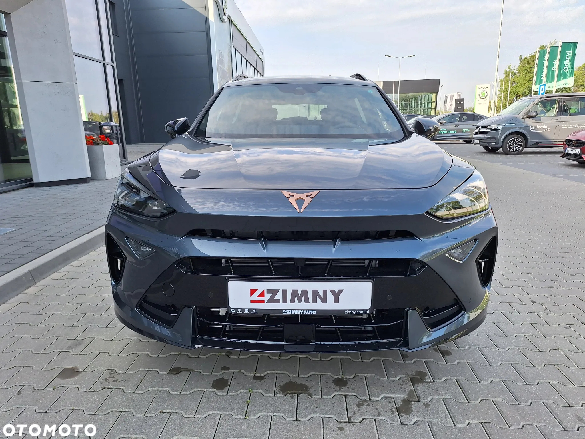 Cupra Formentor 2.0 TDI DSG - 3