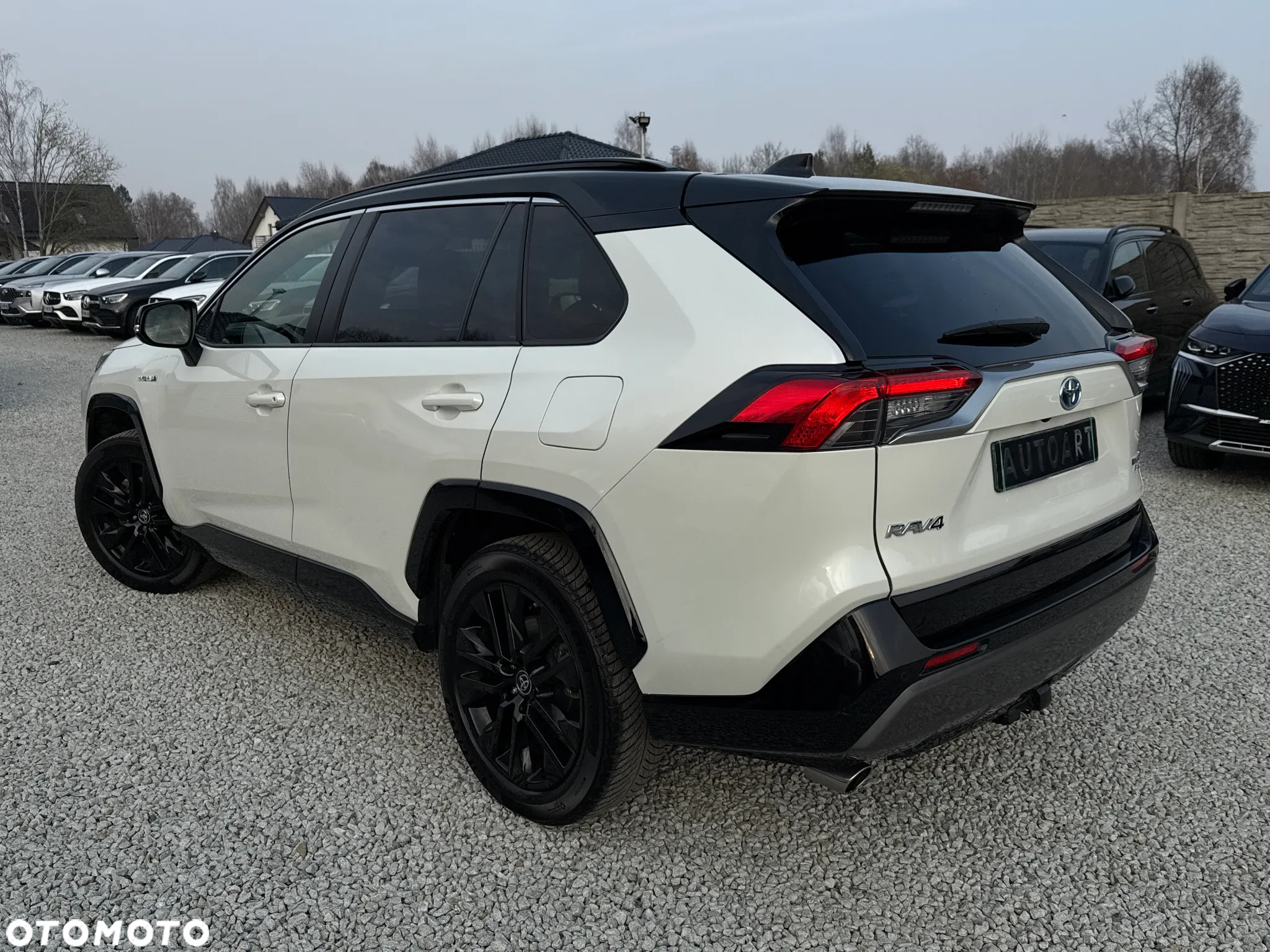 Toyota RAV4 2.5 4x4 Hybrid Club - 10