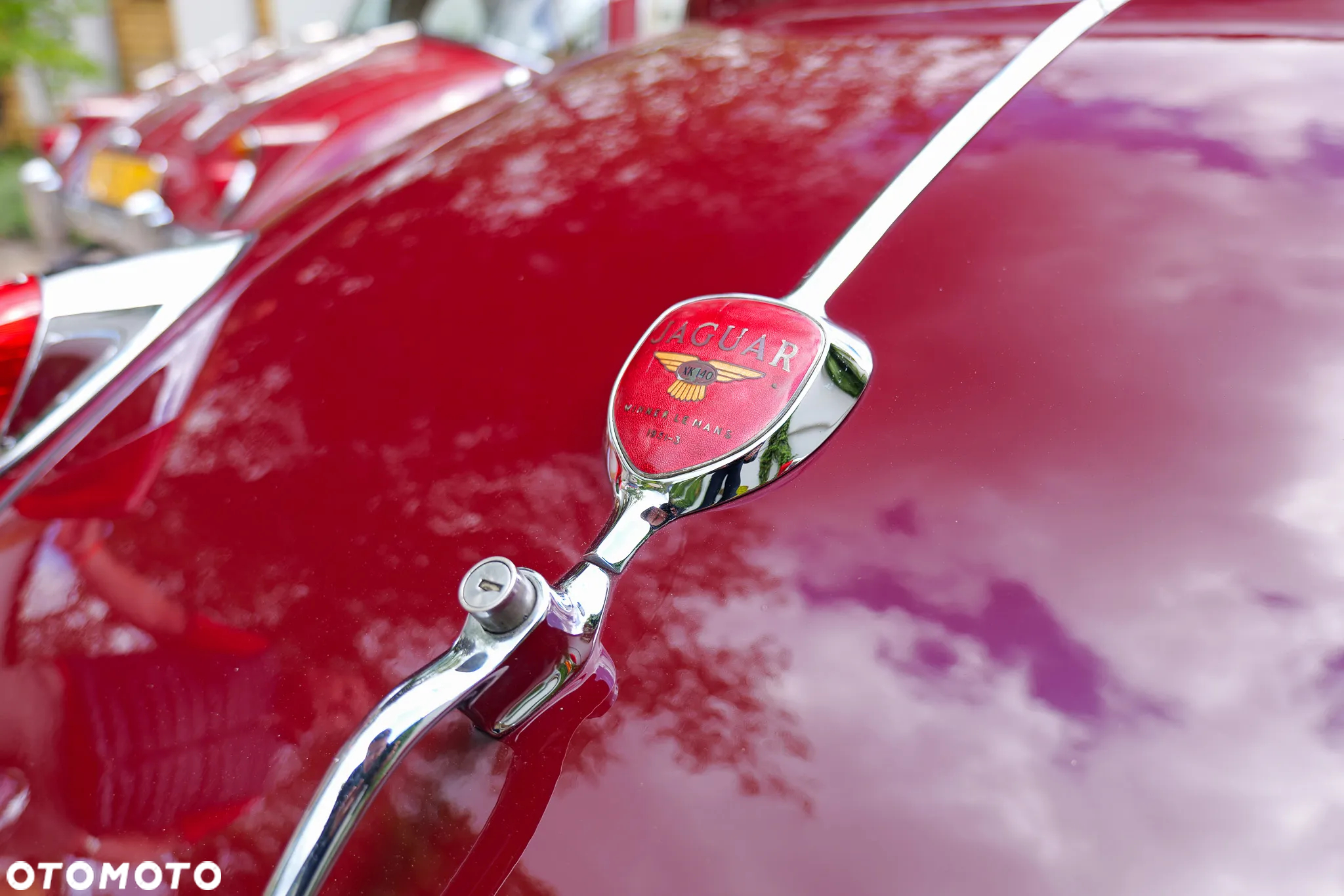 Jaguar XK - 33