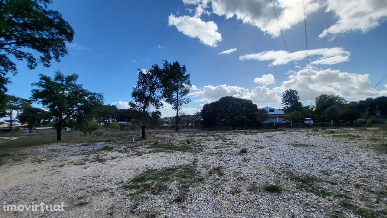 Terreno Rústico  Arrendamento em Vale da Pedra,Cartaxo - Grande imagem: 4/23