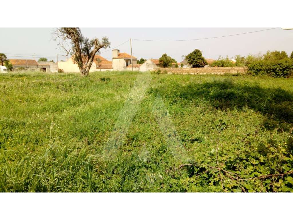 Lote de terreno para construção na Palhaça - Grande imagem: 5/7