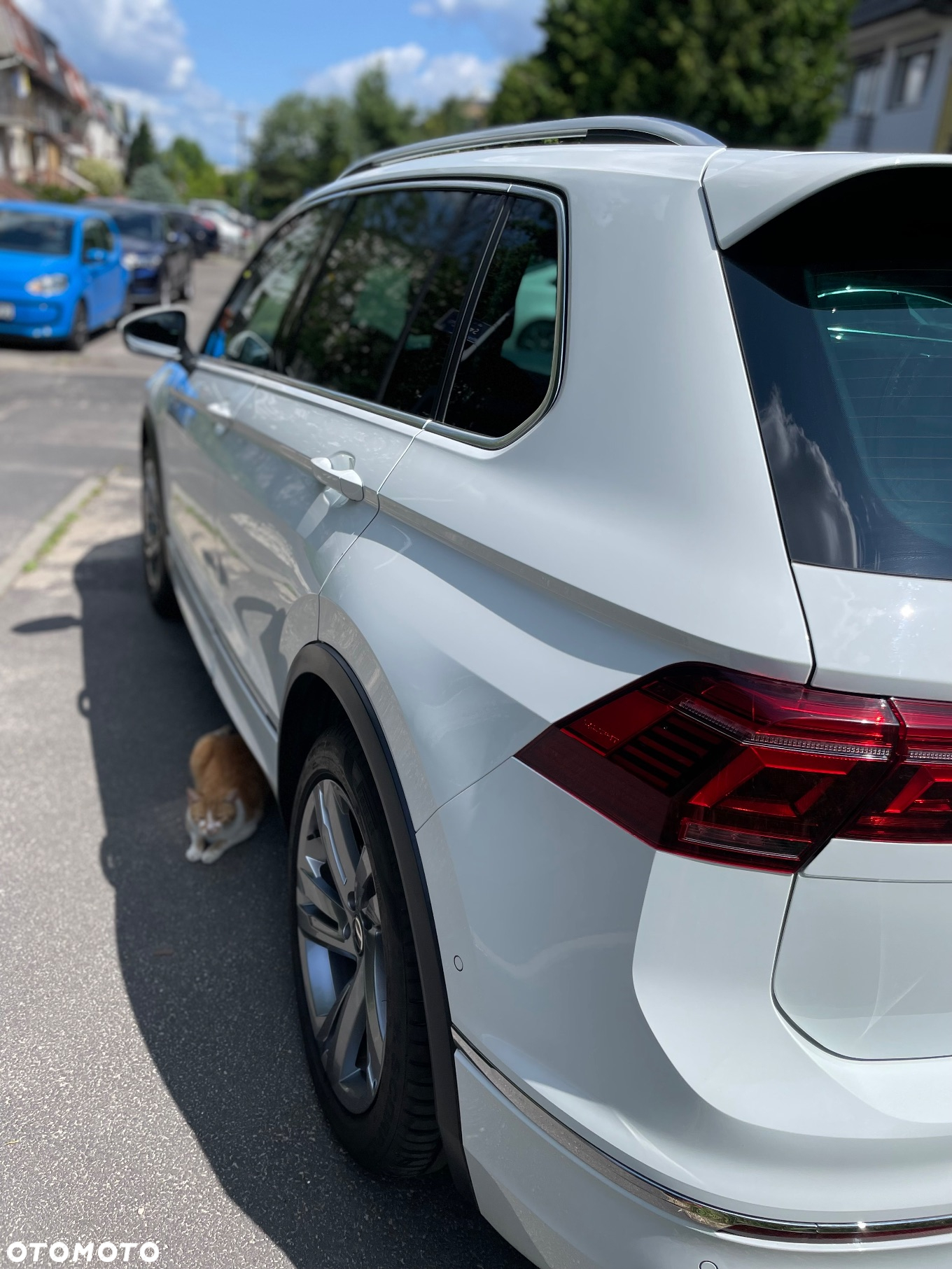 Volkswagen Tiguan - 21