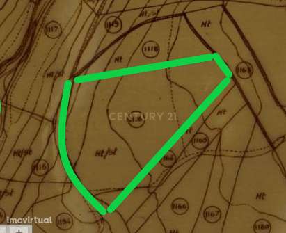 TERRENO NA MALVEIRA DA SERRA - Grande imagem: 5/5