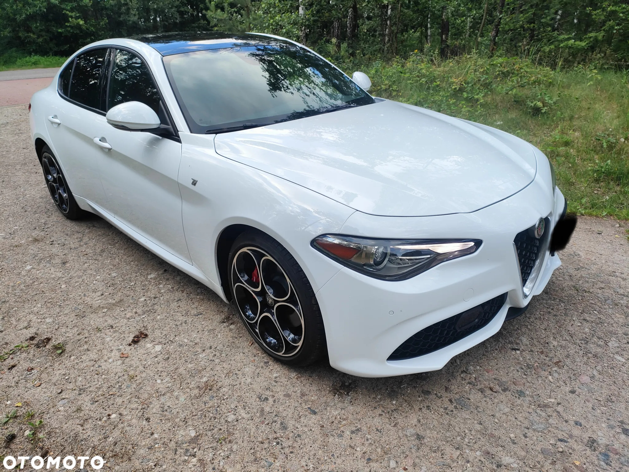 Alfa Romeo Giulia 2.0 Turbo TI Q4 - 25