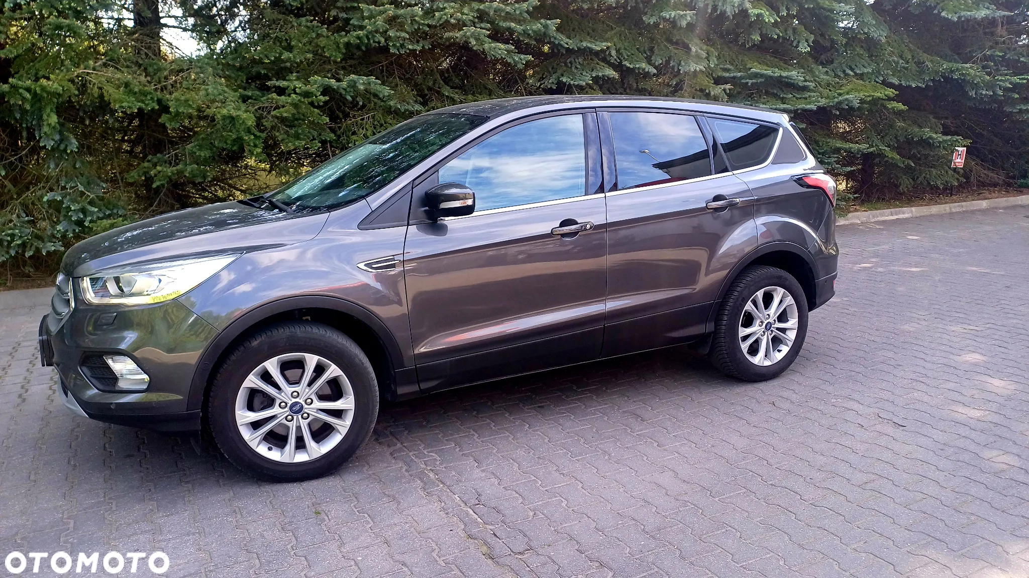 Ford Kuga 1.5 EcoBoost FWD Graphite Tech Edition - 11
