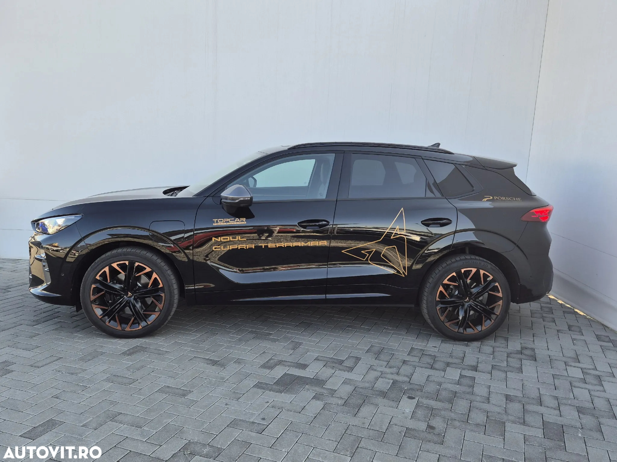 Cupra Terramar - 2