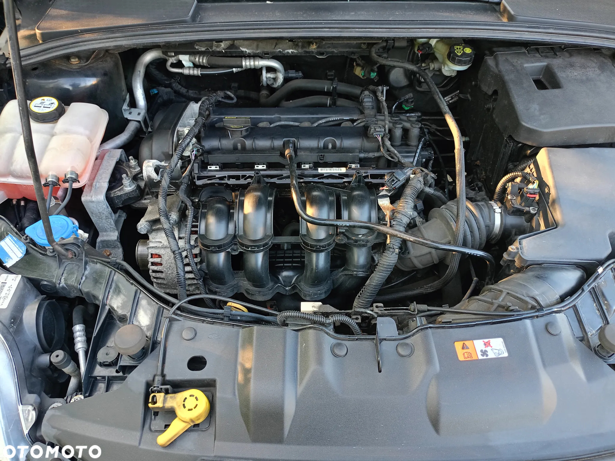 Ford Focus 1.6 Edition - 15