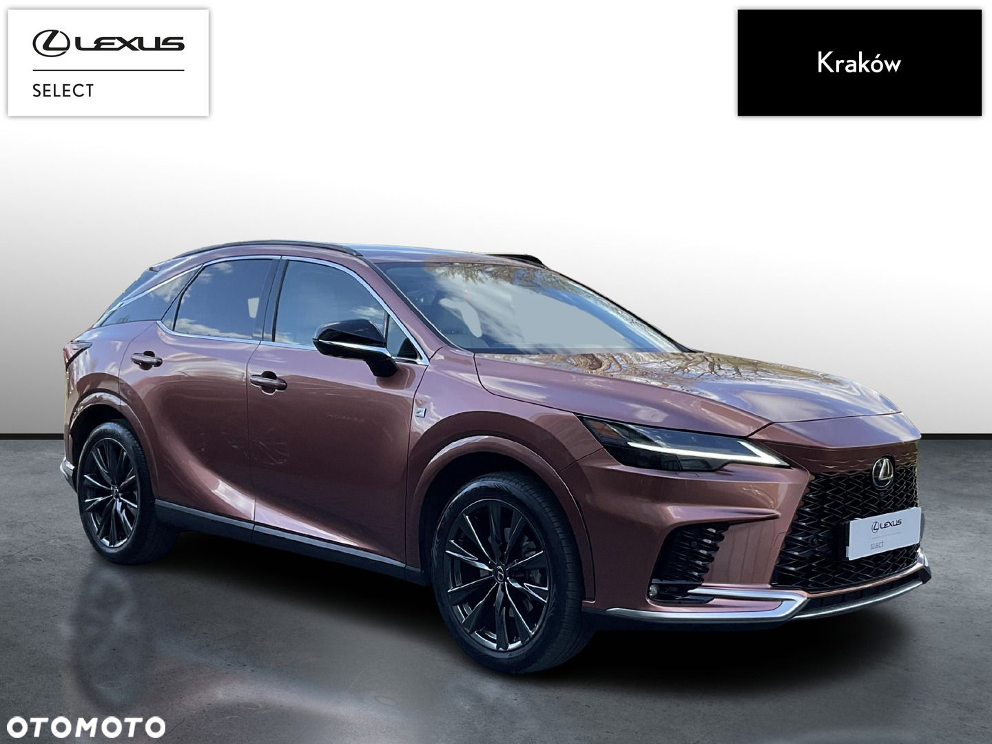 Lexus RX 350h F Sport Design - 3