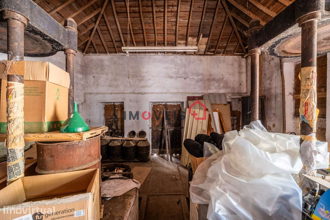 Lagar de Azeite Tradicional na Marmeleira – Uma Oportunidade Única... - Grande imagem: 3/20
