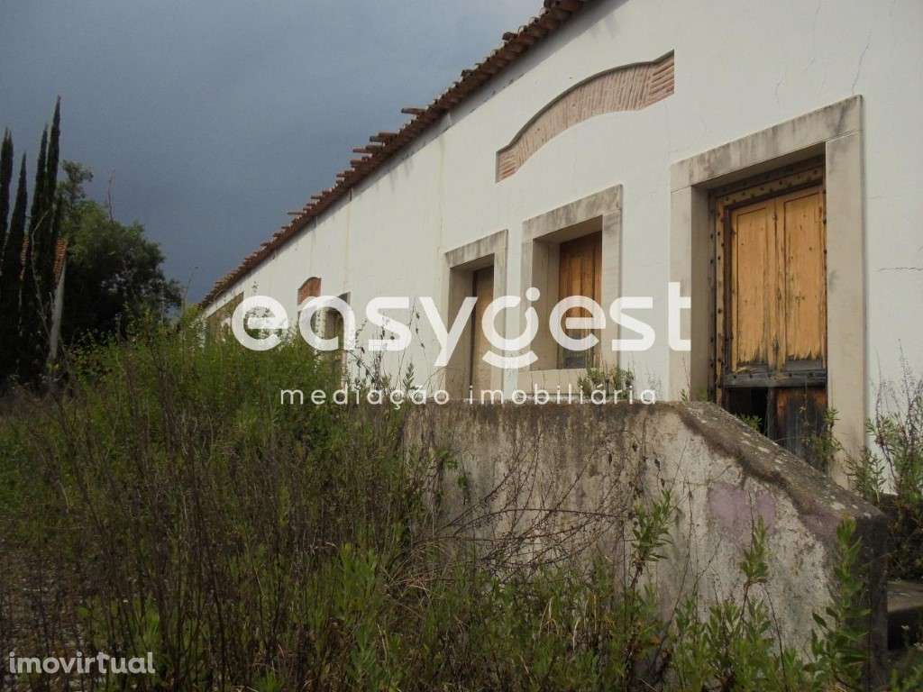 Quinta com moradia T6 em Constância, Santa Margarida da Coutada - Grande imagem: 5/60