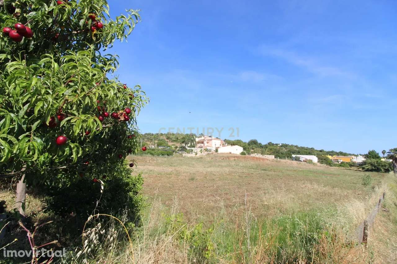 Terreno rustico no Sítio do Almargem - Tavira - Grande imagem: 5/19