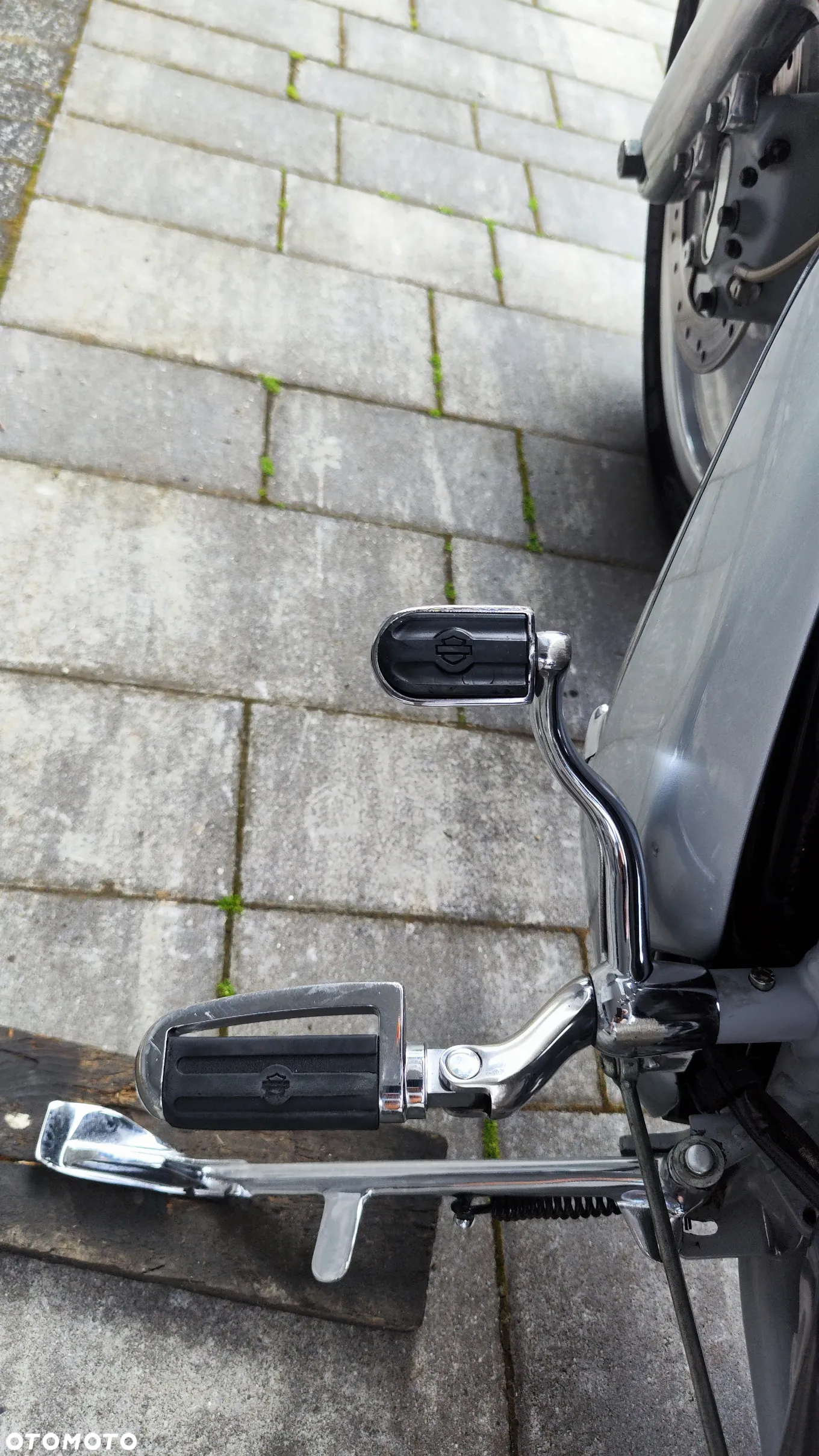 Harley-Davidson Softail V-Rod - 18