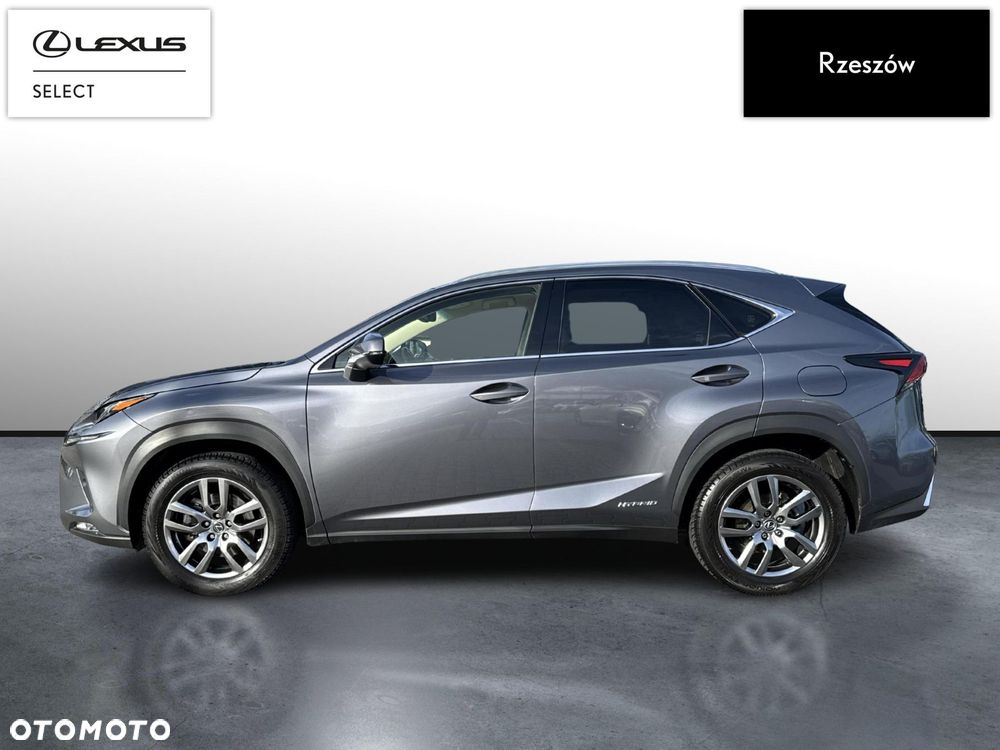 Lexus NX - 2