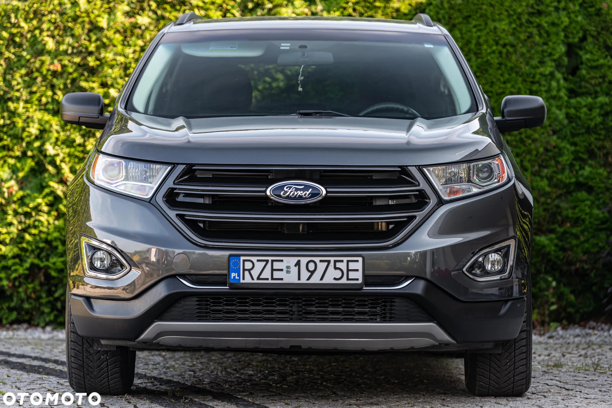 Ford Edge - 14