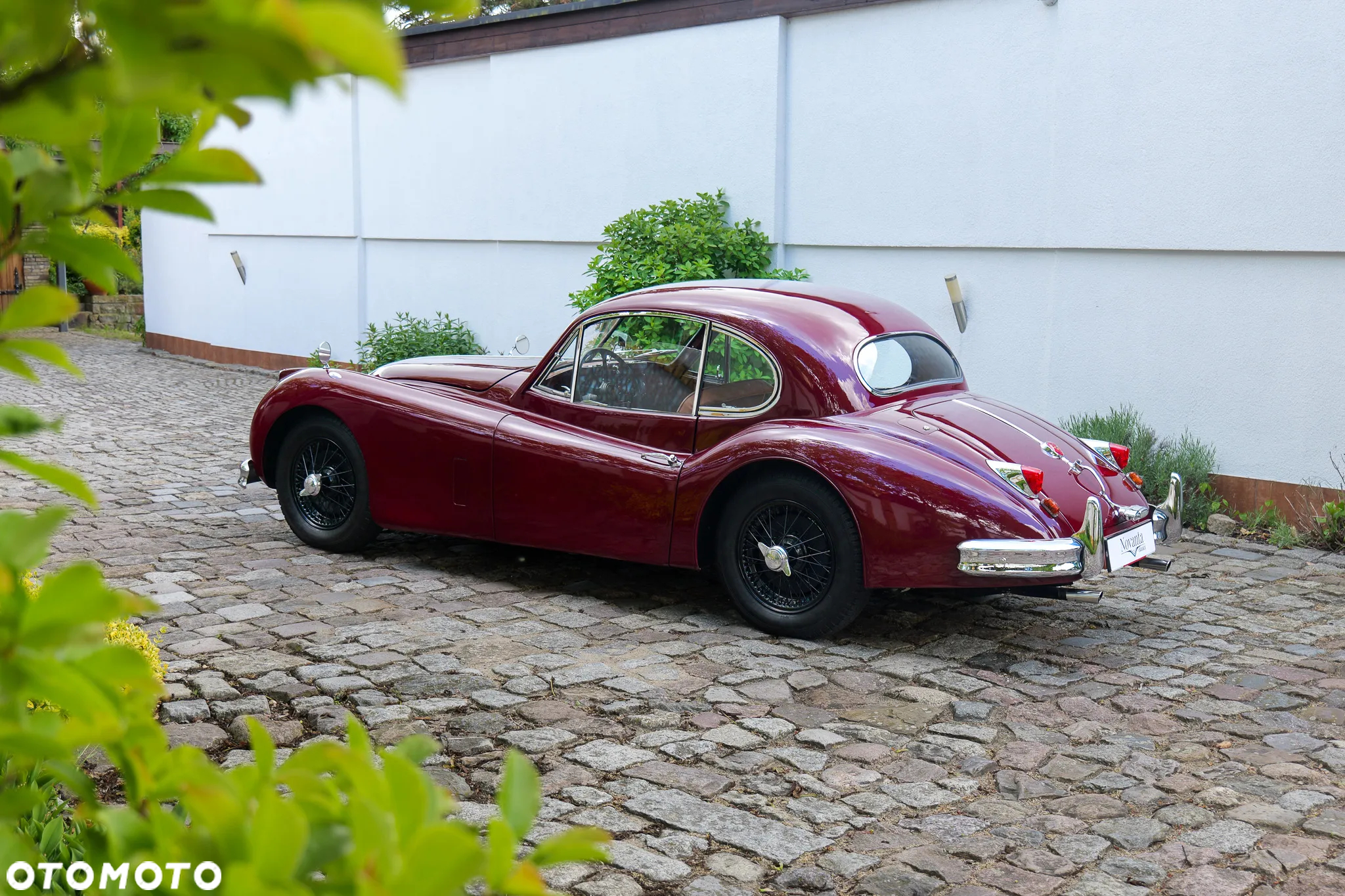 Jaguar XK - 8