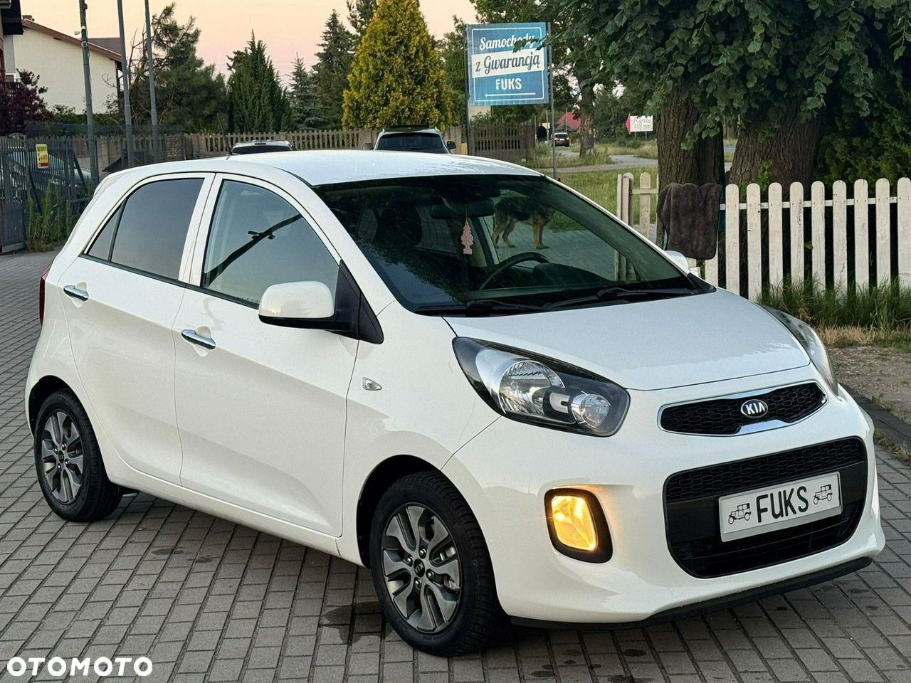 Kia Picanto 1.2 Dream-Team Edition - 1