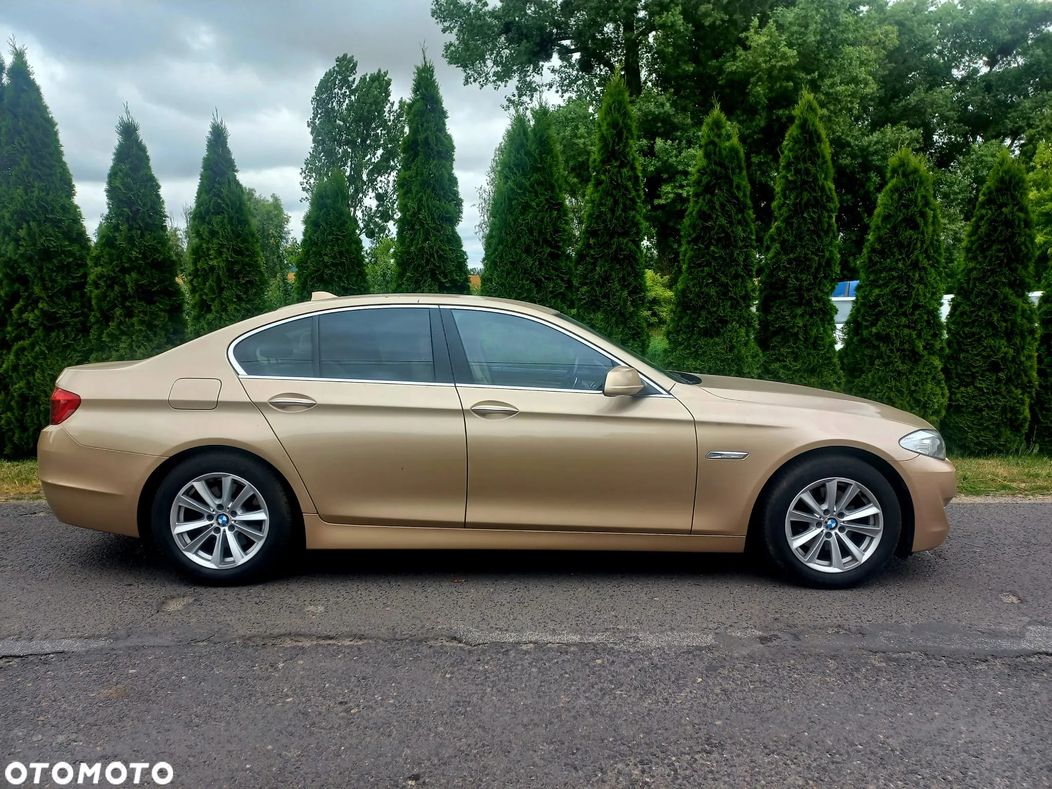 BMW Seria 5 - 6